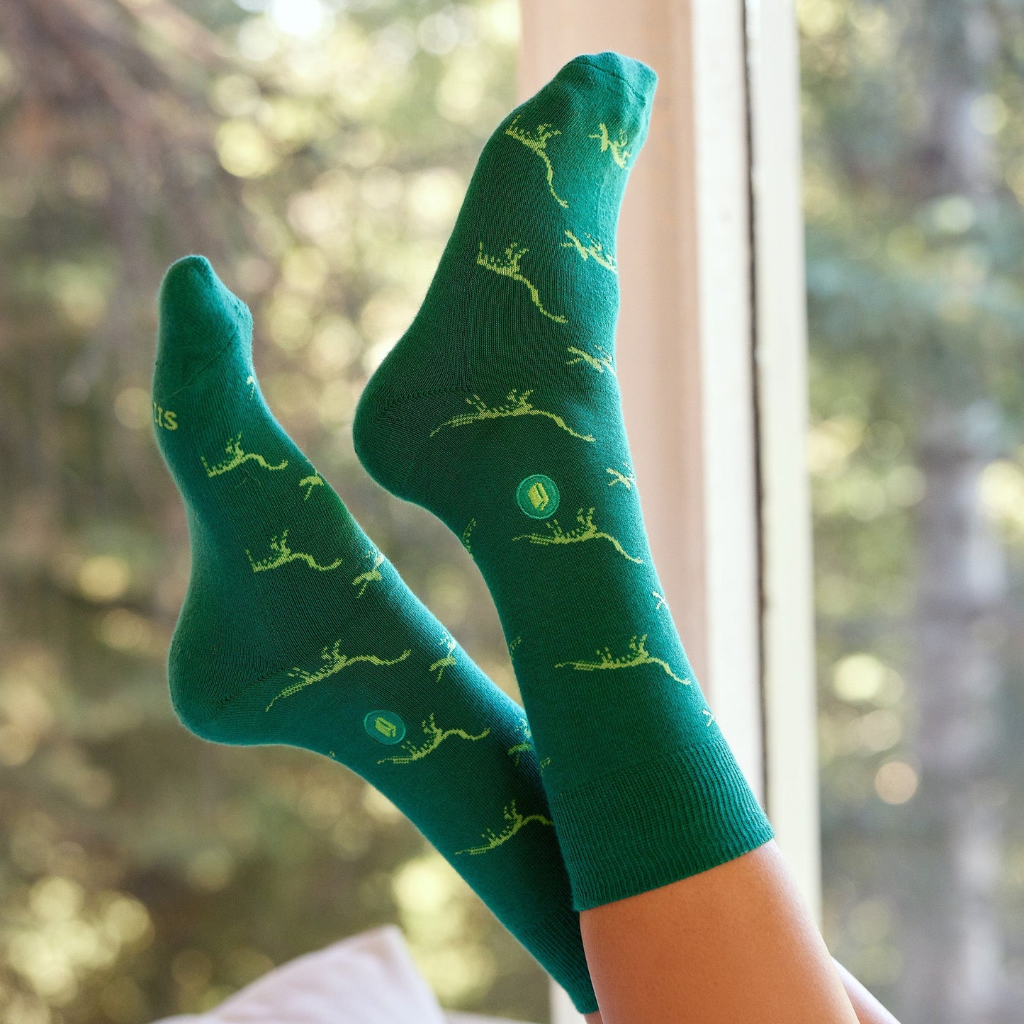 Socks that Give Books |