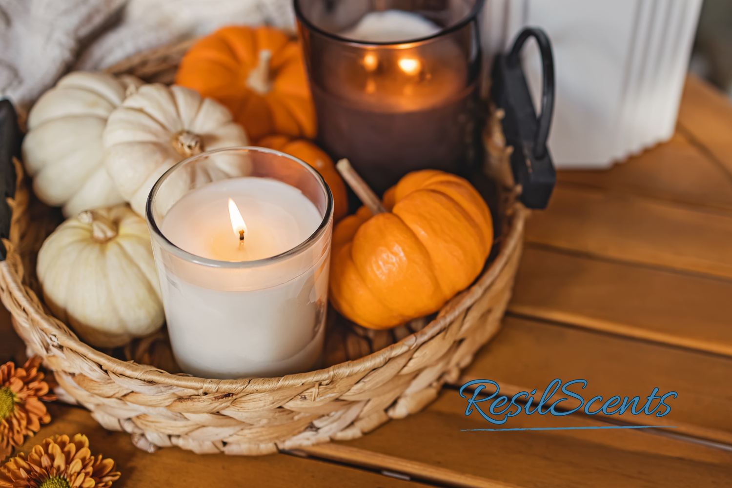“A cozy fall scene featuring a lit ResilScents™ candle surrounded by white and orange pumpkins in a woven basket, symbolizing warmth and comfort.”