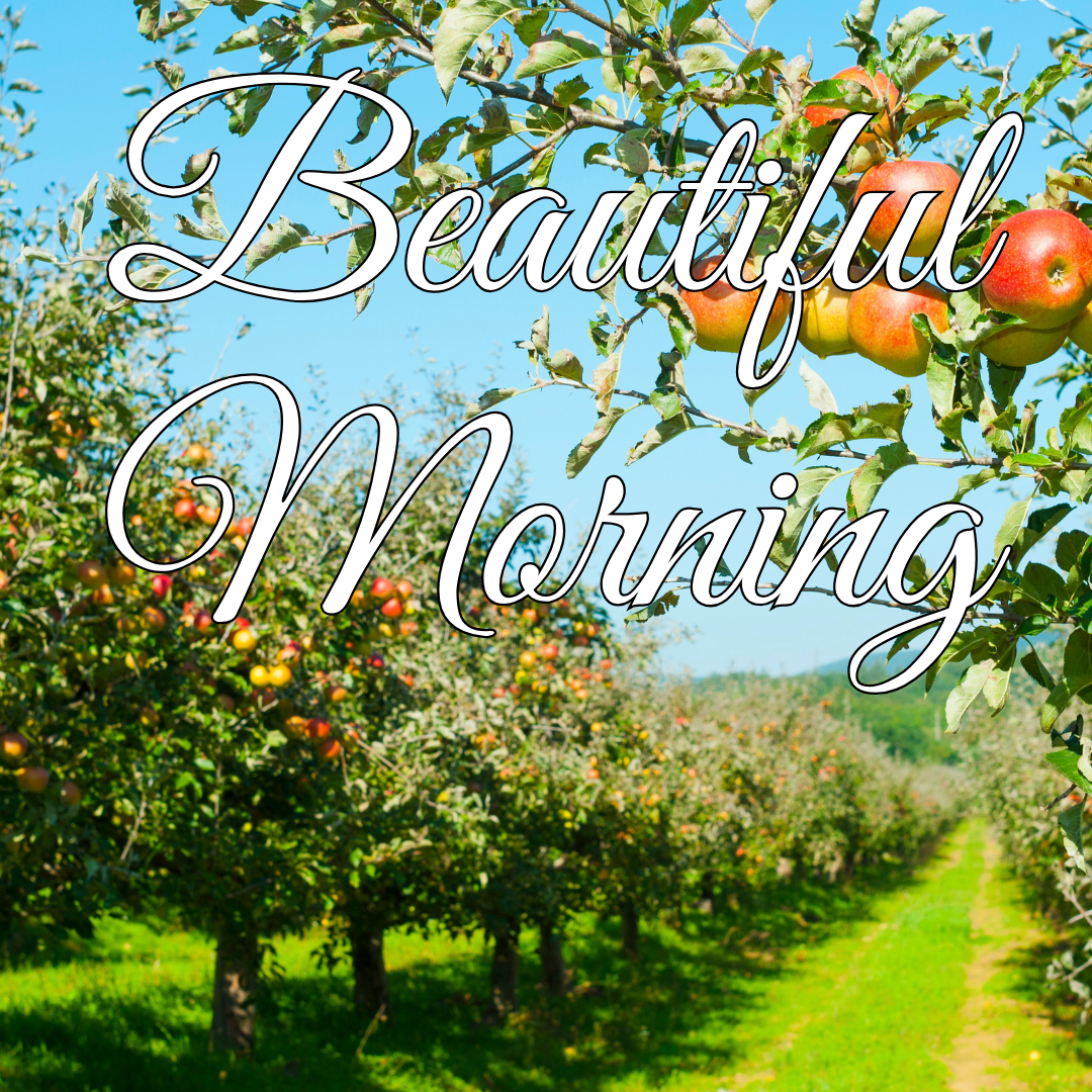 Beautiful Morning
