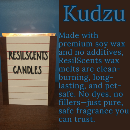 Kudzu Wax Melt Starter Bundle – 3 × Wax Melts + Roll-On + Car Diffuser
