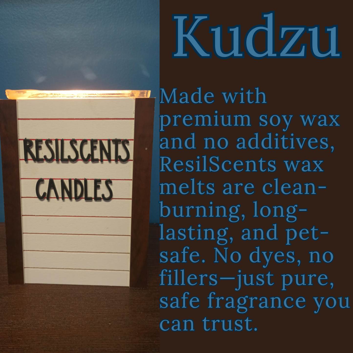 🌿 Kudzu ResilMelt™ – Net Wt: 2.4oz (68g) | Hand-poured in Savannah, TN