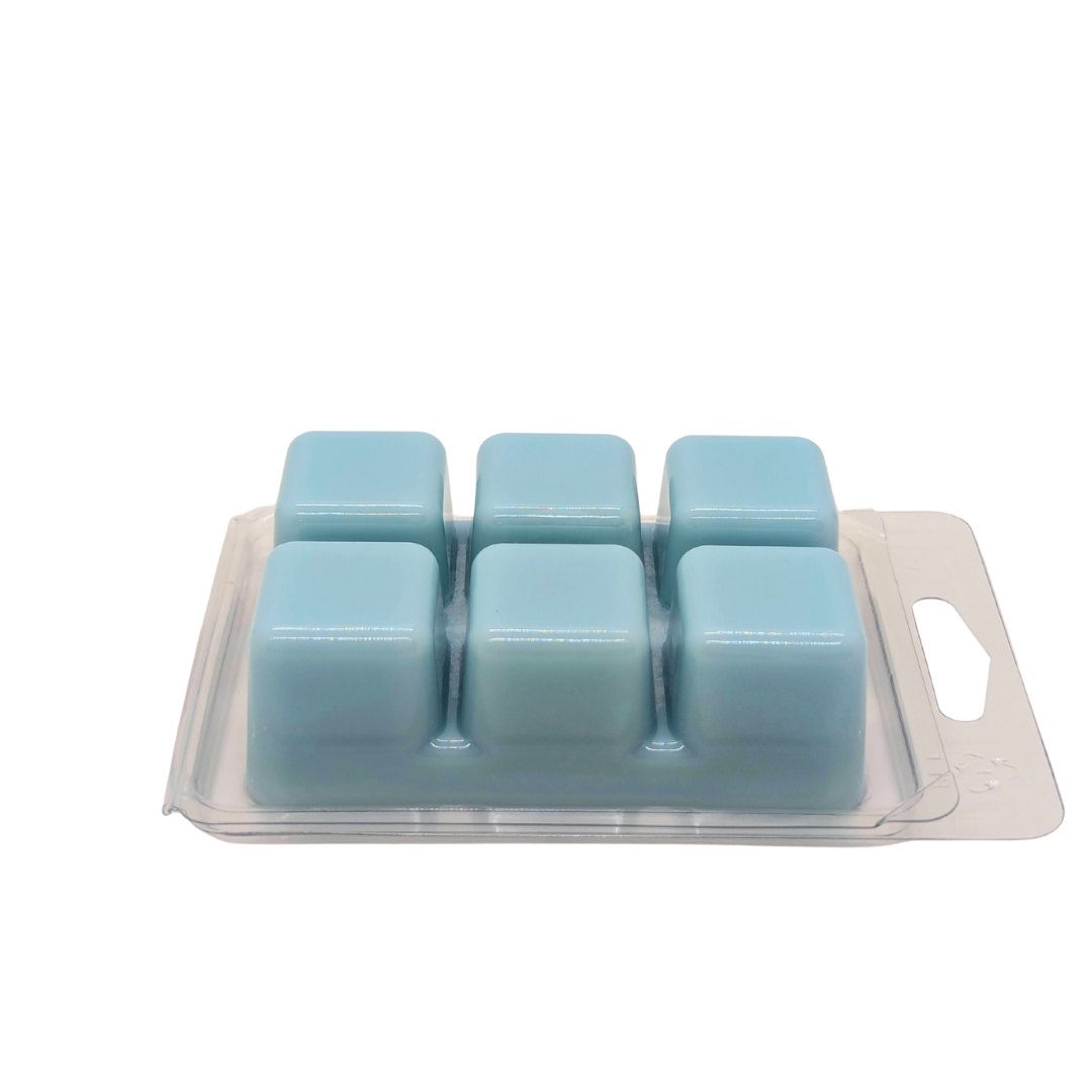 🥧 Apple Pie ResilMelt™ – Net Wt: 2.4oz (68g) | Hand-poured in Savannah, TN