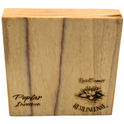 Inversion Ash Catcher – Crafted Wood & Brass Incense Stand | An Elegant Spring Accessory