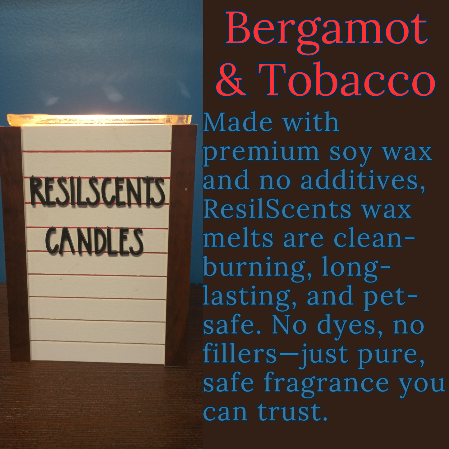 🔥🍊 Bergamot & Ember ResilMelt™ – Net Wt: 2.4oz (68g) | Hand-poured in Savannah, TN