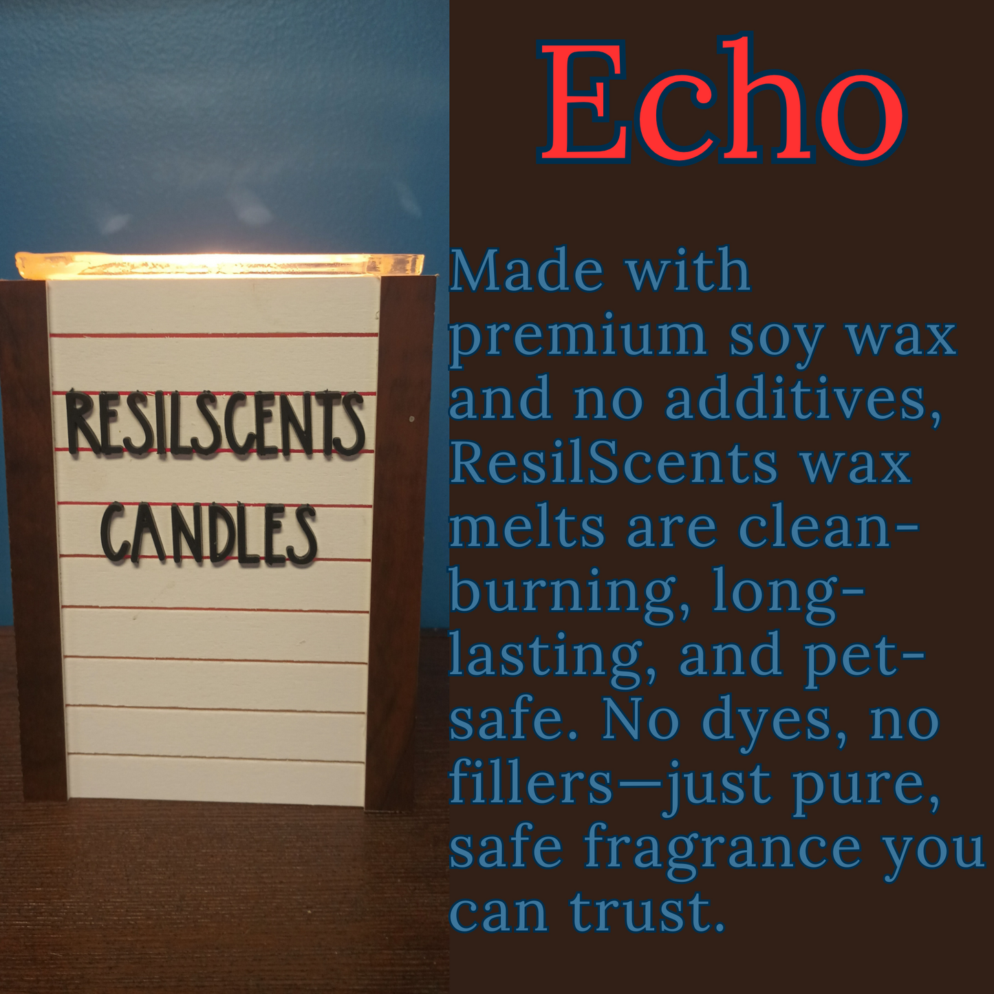 ✨ Echo ResilMelt™ – Net Wt: 2.4oz (68g) | Hand-poured in Savannah, TN
