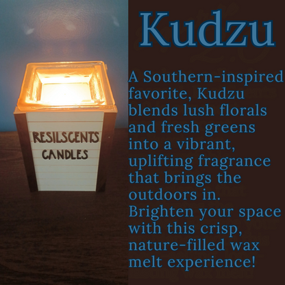 Kudzu Wax Melt Starter Bundle – 3 × Wax Melts + Roll-On + Car Diffuser
