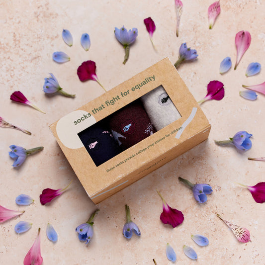 Fight for Equality Gift Box | box Sustainable Socks - Conscious Step
