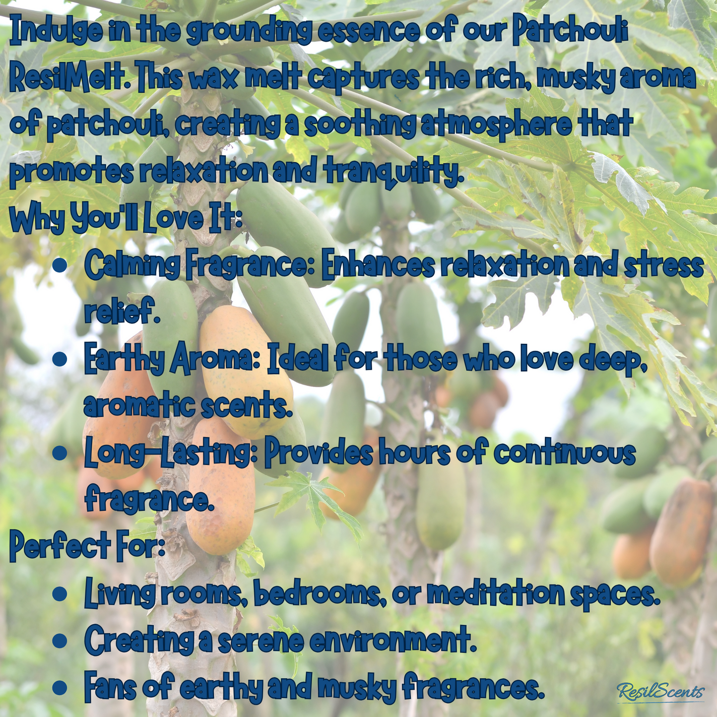 🍍 Papaya Cove ResilMelt – Sweet, Tropical & Uplifting | ResilScents™