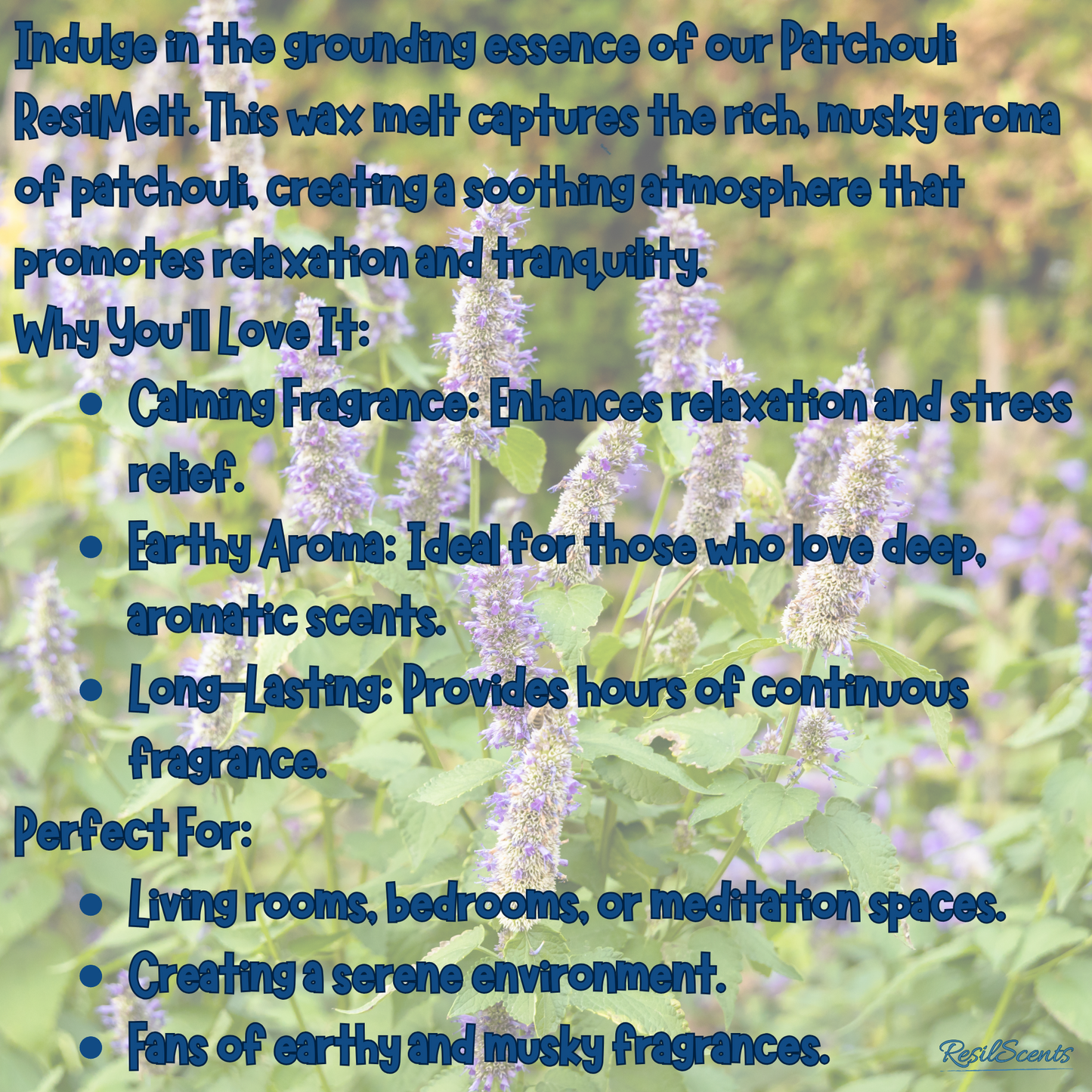 🌿 Patchouli ResilMelt – Earthy Calm, One Melt at a Time | ResilScents™