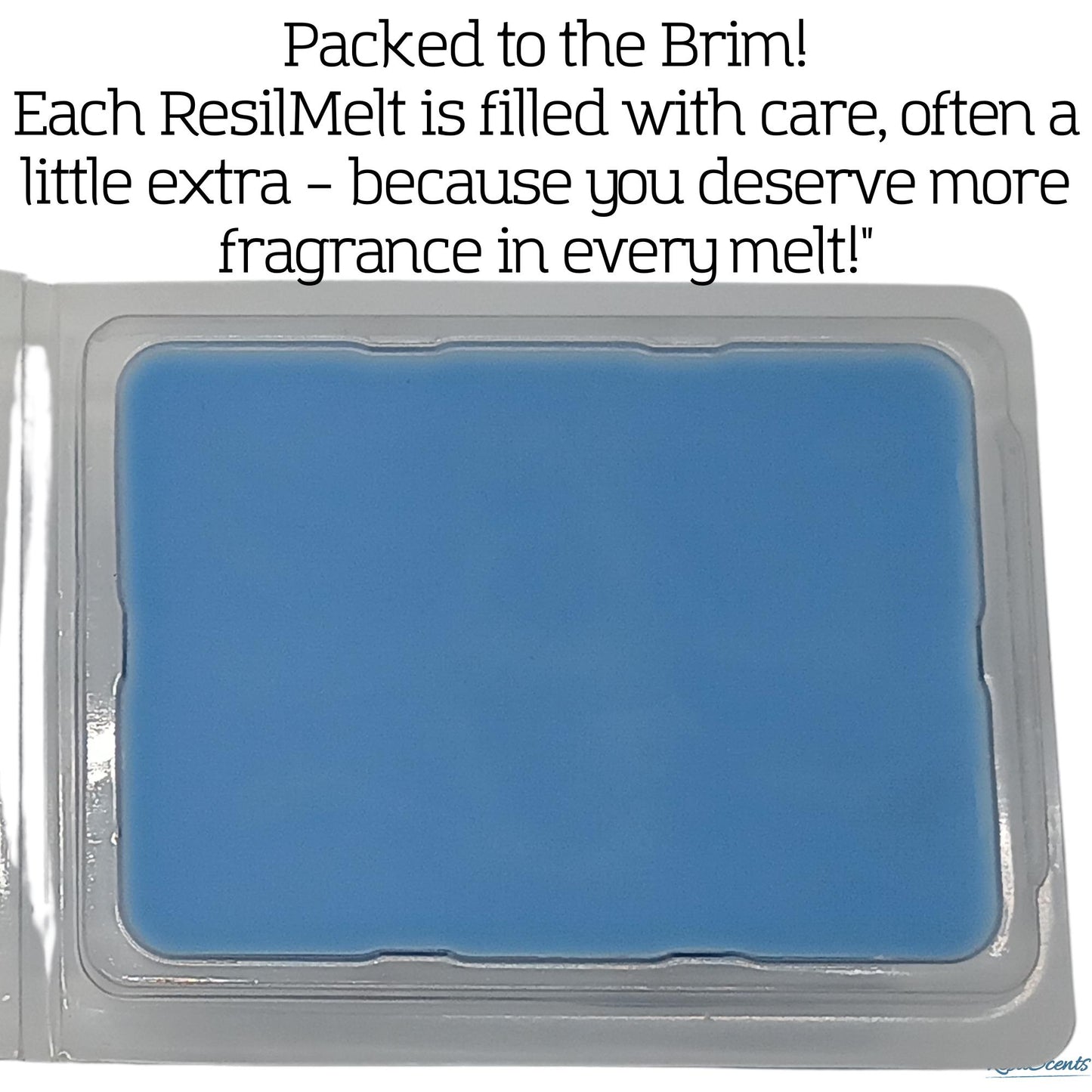 👑 Native Princess ResilMelt™ – 2.4 oz Soy Wax Melt