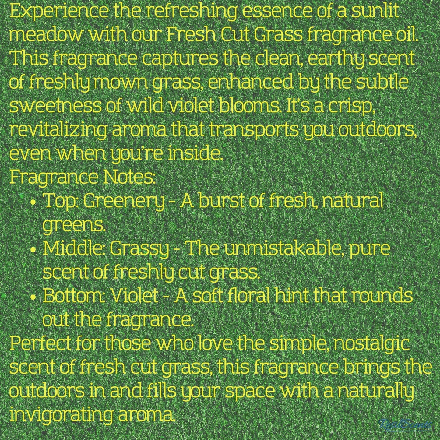 🌿 SlowDown Summer ResilMelt™ – 2.4 oz Soy Wax Melt