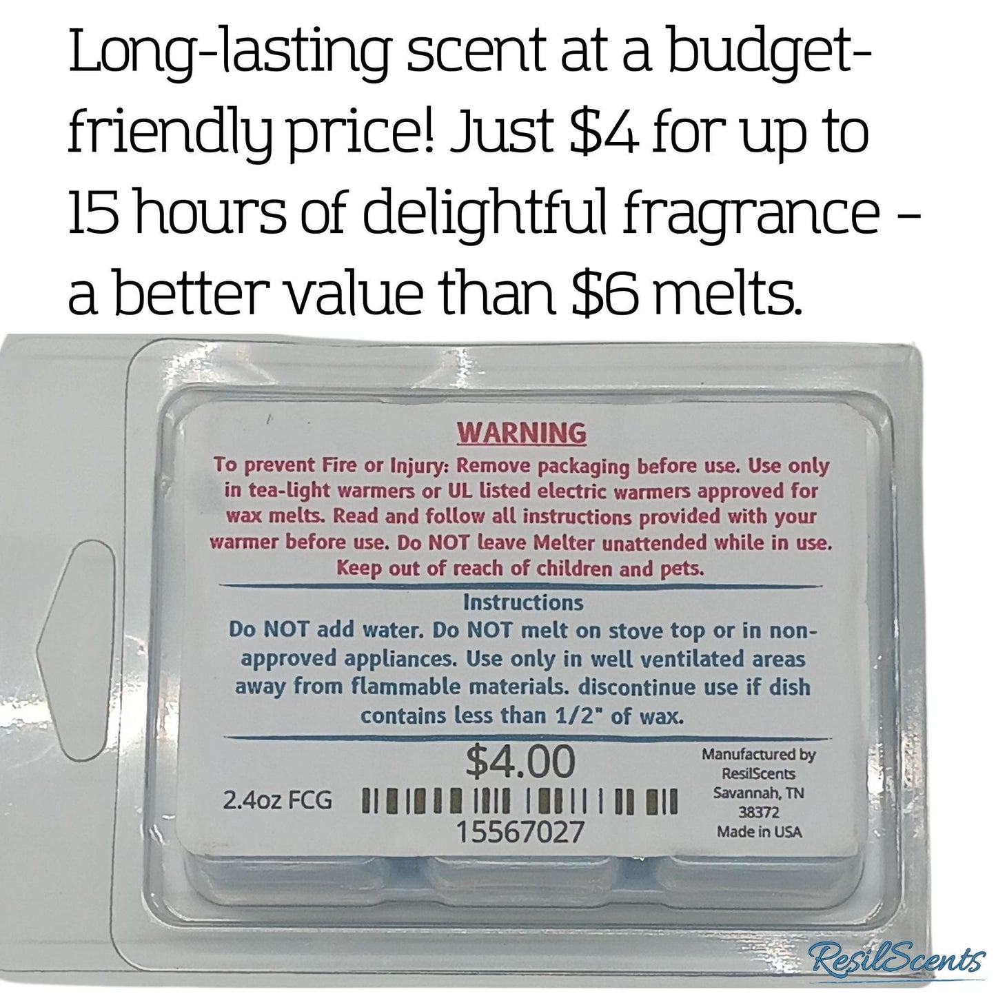 🌿 SlowDown Summer ResilMelt™ – 2.4 oz Soy Wax Melt