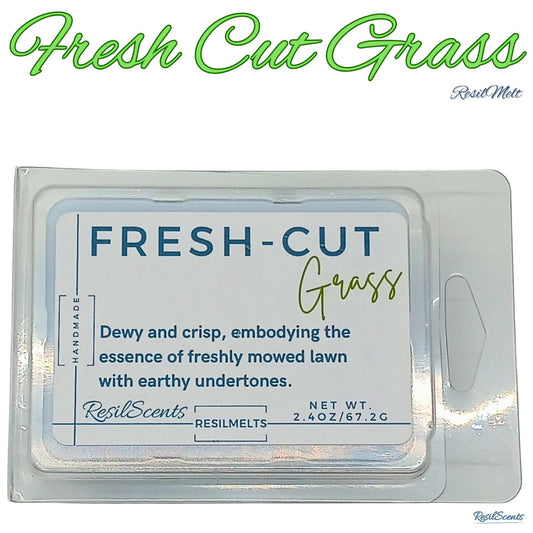 🌿 SlowDown Summer ResilMelt™ – 2.4 oz Soy Wax Melt