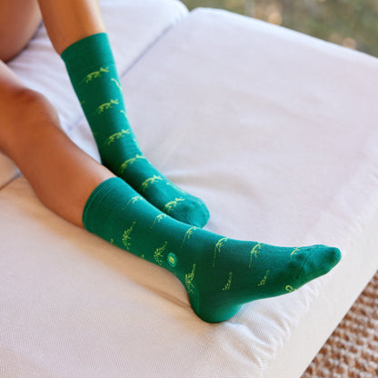 Socks that Give Books | 