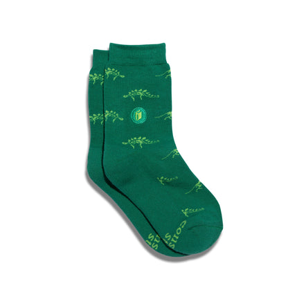 Kids Socks that Give Books | 
